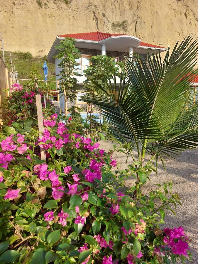 קנואה El Ocaso Oceanfront Apartment מראה חיצוני תמונה